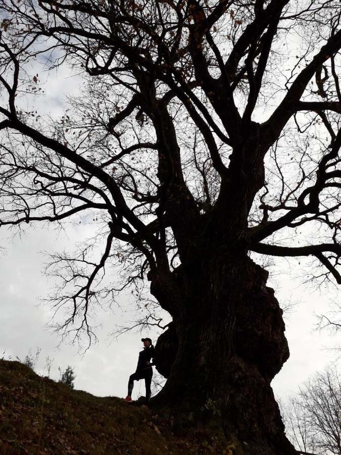 Stavne 158 Βίλα Stavnoye Εξωτερικό φωτογραφία